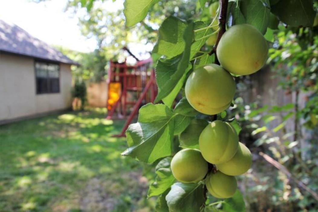 Experience Nirvana With Artwork Collections From Around The Globe Located In Lakewood Neighborhood In Se Boise Next To A Park, Minutes From Bown Crossing And The Boise River, 10 Minutes To Downtown, 4 Beds, Sleeps 8, Pets Welcome In Large Fenced In Y Экстерьер фото